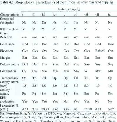 Table 4.5: Morphological
