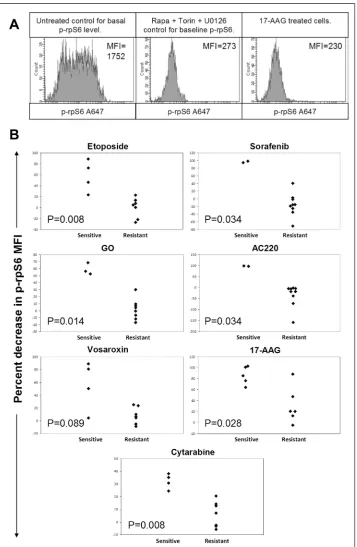 Fig 2. RpS6 dephosphorylation at 4 hours predicts 48 hour drug sensitivity. (A) MOLM-13 cells were cultured for 4500nM 17-AAG and 2hours with 100 nM Rapamycin, 1 μM torin1 and 3 μM U0126 to determine p-rpS6 baseline