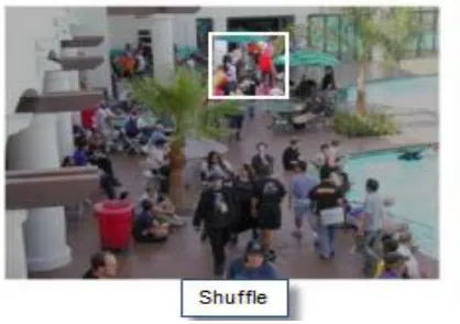 Figure 2.13: An Image Used In PCCP 