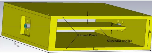 Figure 2. (a) The 3D geometry for the SSL transmission line with two side walls, (b) the waveguidewave port excitation.