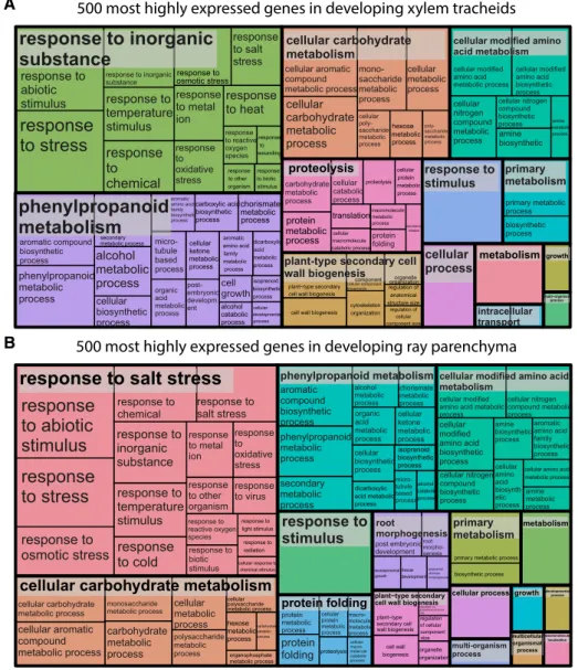 Figure 2. REVIGO Treemaps of 500 most highly expressed genes in developing xylem. The GO enrichment was realized using the Web-based tool agriGO (http://