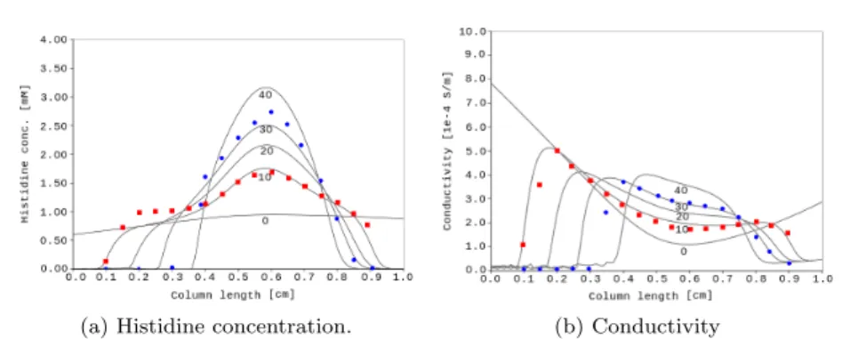 Fig. 1: Concentration and conductivity profiles along the channel at 0, 10, 20, 30 and 40 minutes