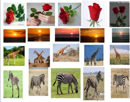 Fig. 2  A Sample of Images from Database 
