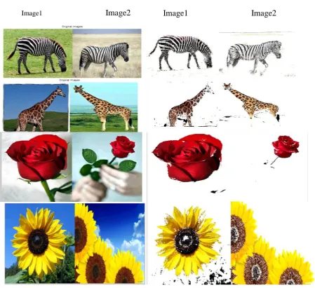 Fig. 3  Results  a) Input Images  image1 and image2 are two images we selected for region detection and matching