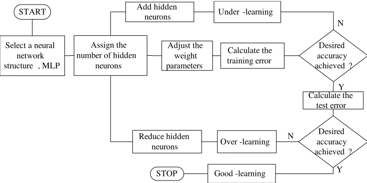 Figure 3. The training and testing process of the proposed multi-physics model.