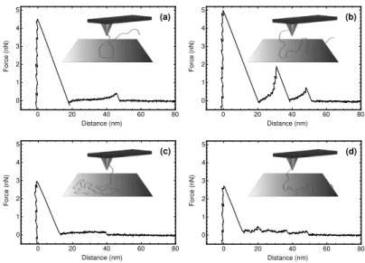 Figure 10. Single molecule force spectroscopy can be used to measure the adsorption of polymers in diﬀerent environments