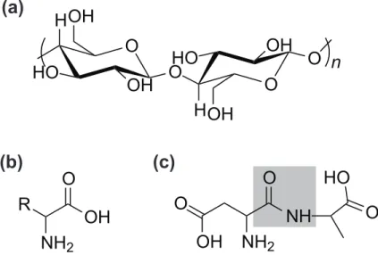 Figure 2. (a) Cellulose is a well-known example of a polysaccharide. It consists of glucose chains joined by the glycosidic (here –O–) bond