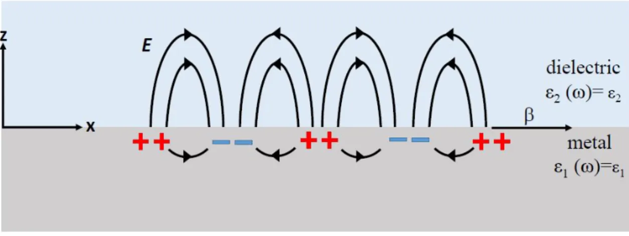 Figure 2.1: Charges and electromagnetic field lines of a SPP propagating on a metal ( 1 and z < 0) and dielectric ( 2 and z > 0) interface along the x-direction.