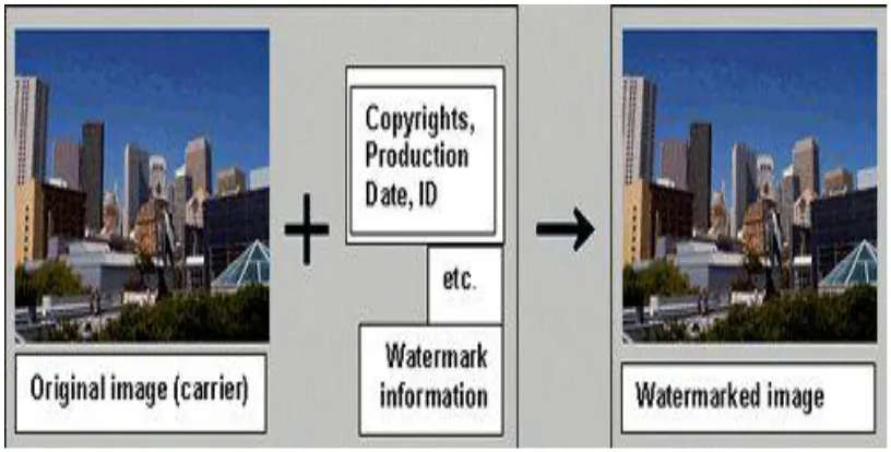 Figure 1: Original image with watermarked image 