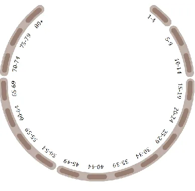 Figure 3-2: Demography sub-visualization for age groups 