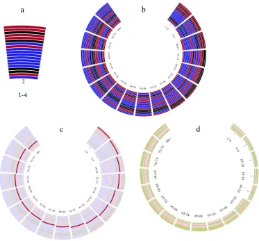 Figure 3-3: (a) visualization of cause-clusters for children 1-4 years old (b) cause-clusters ranking sub-visualization for all age groups (c) cause-clusters sub-visualization with the neglected tropical diseases and malaria cluster emphasized (d) risk clusters sub-visualizations for all age groups 