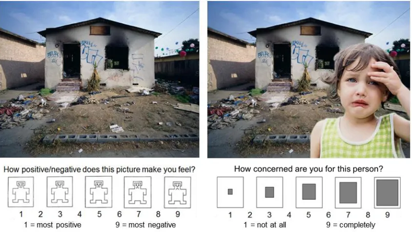 Figure 3.1 The Multifaceted Empathy Test 