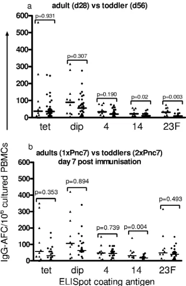 FIG. 3. Comparison of in vitro-stimulated memory B-cell derivedIgG AFC frequency in adults (triangles) and 12-month-old toddlers