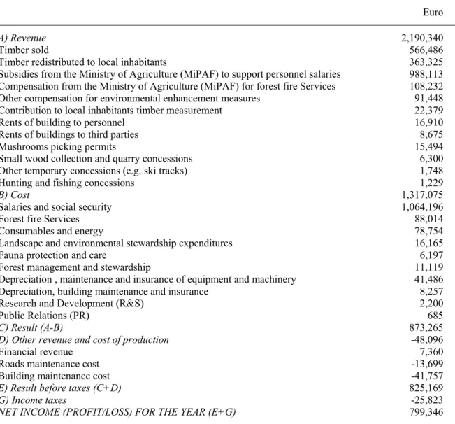 Table 9.1  Income statement (1998-2000, average values) 