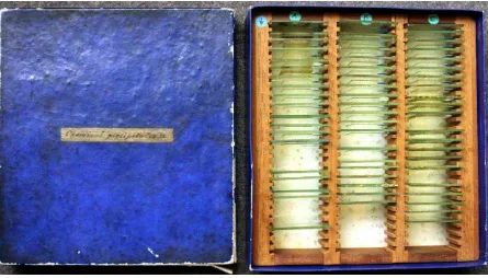 Figure 2 Examples of Sorby’s chemical precipitate preparations. Each slide is 40 mm 