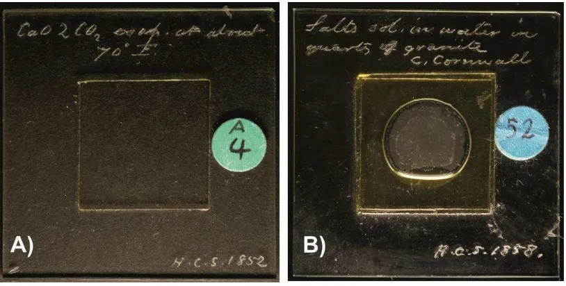 Figure 3 Photomicrographs of precipitates from Sorby’s experiments, all with crossed polars