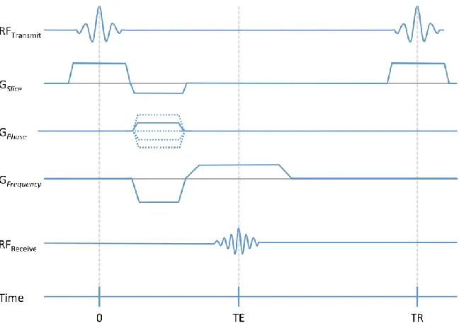 Figure 1-10: A gradient echo pulse sequence diagram. The horizontal axis shows the timing of basic hardware activity as they are incorporated into the pulse sequence