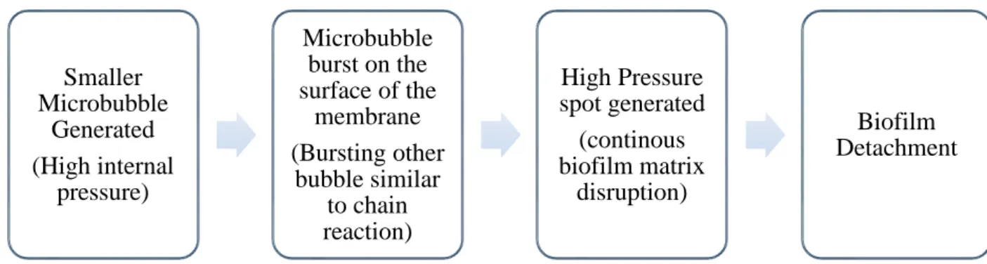 Figure 2: Simplified biofilm detachment using microbubble  Fluidic Oscillator Microbubble Defouling 