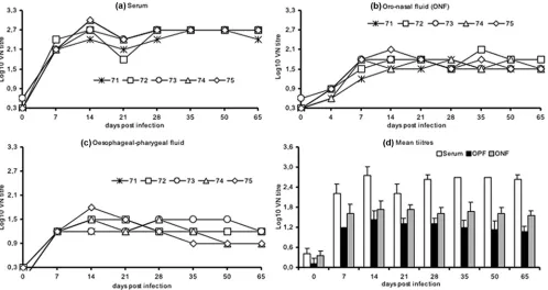 FIG. 1. FMD VN titer in Indian buffaloes (Bubalus bubalis(a), ONF (b), and OPF (c). (d) Mean VN titers () at different DPI following FMDV type Asia 1 experimental inoculation in serum� standard deviations) in serum, ONF, and OPF.
