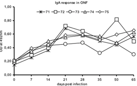 Fig. 3. The response was variable at different DPI among theThe LP responses of infected buffaloes are depicted in theindividual buffaloes