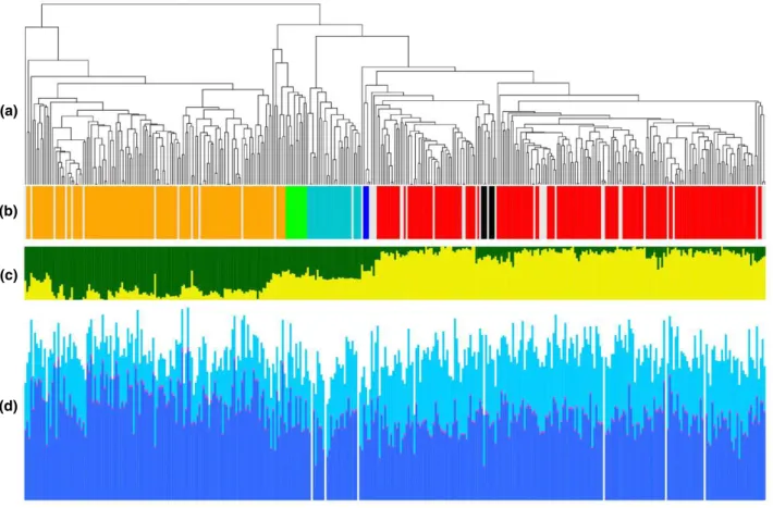 Figure 2. Population structure and trait variation across the Renewable Industrial Products from Rapeseed (RIPR) panel