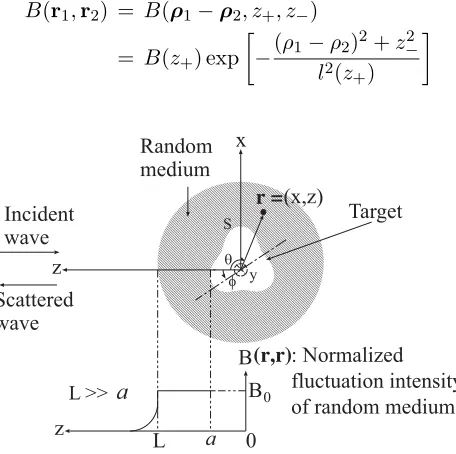 Figure 1. Geometry of the problem of wave scattering from a conducting cylinder in a random medium.