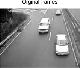 Fig. 1. 100th frame from video 