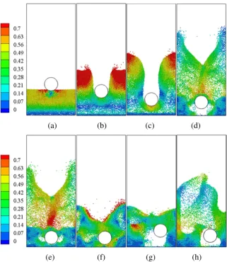 Fig. 12. Particle distribution in a(g) ﬂuidized bed with an immersed free-moving tube at different times: (a) t = 0.03 s; (b) t = 0.07 s; (c) t = 0.10s; (d) t = 0.20s; (e) t = 0.23 s, (f) t = 0.33 s, t = 0.39 s and (h) t = 0.52 s