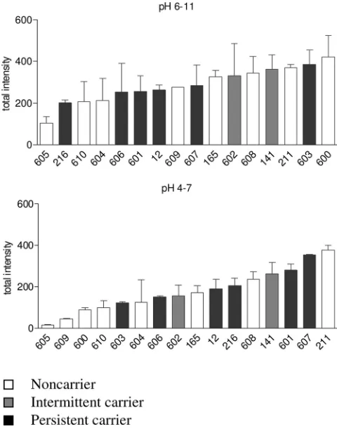 FIG. 2. Variability of total IgG binding to S. aureuscellular proteins. The total spot intensity of all spots analyzed wastaken as a measure for global serum IgG binding
