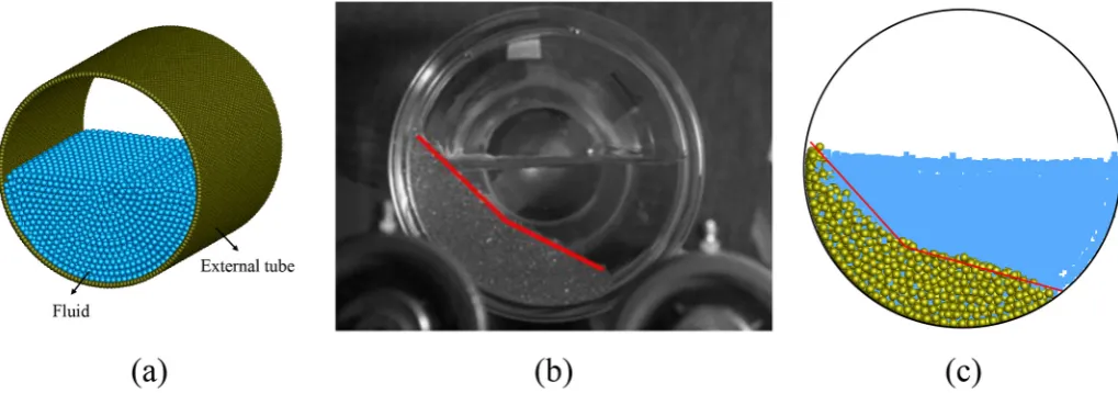 Fig. 15. (a) Particle representation of the simulated rotating drum, in which the size of thesimulation, in which the solid particles are represented by yellow spheres while the ﬂuid particle is 3 mm and the typical snapshot of (b) experiment [6] and (b) t