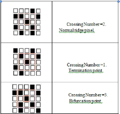 Figure 5 :  (a) Original Fingerprint  (b) Binarized image. 