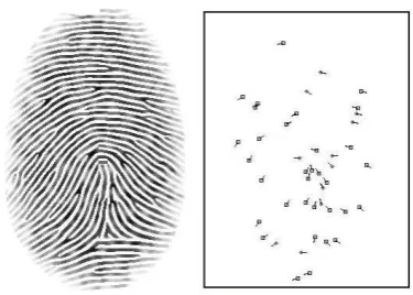 Fig 8: (a) Gray-scale Fingerprint (b) Minutiae points. 