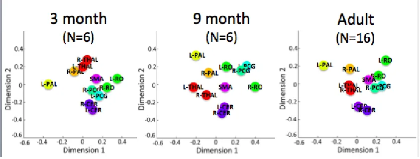 Figure 12. The higher-order structure in the connectivity, as revealed with 