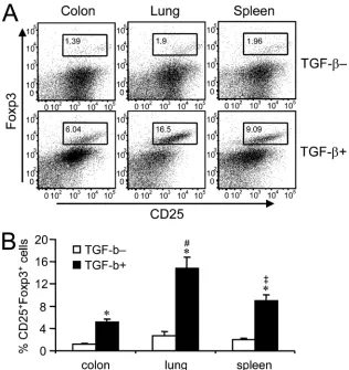 FIG. 6. CD25 and Foxp3 expression by CD4�without TGF-(B) Percentages of CD25T cells were cocultured with DCs in the presence of OVA protein, and the induction levels of CD25 and Foxp3 expression by T cells were examined.(A) Flow cytometry plots showing the