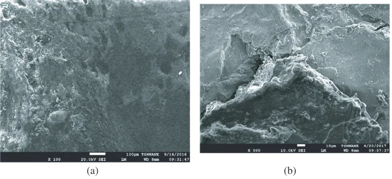 Figure 15. SEM image of the pipe, (a) before AC interference, (b) after AC interference with CP.