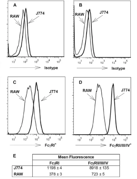 FIG. 2. Quantiﬁcation of Fc�264.7 cells, determined using ﬂow cytometry. Flow cytometric analysiswas performed as described in Materials and Methods