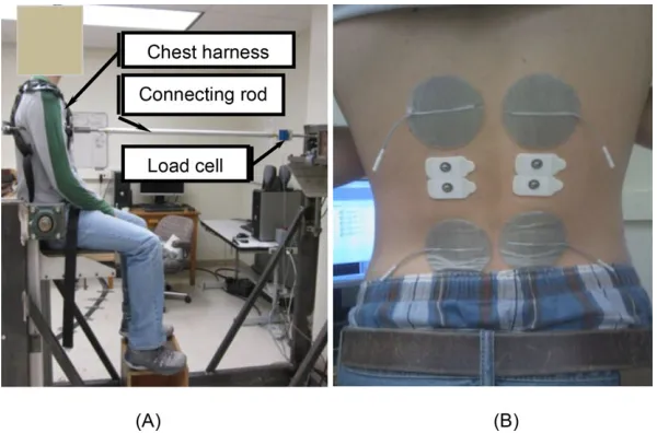 Figure 1Illustration of (A) experimental ﬁxture setup demonstrating a participant in an upright sitting posture, and (B)the locations of dual-channel muscle stimulation electrodes (grey) and bipolar EMG electrodes (white).