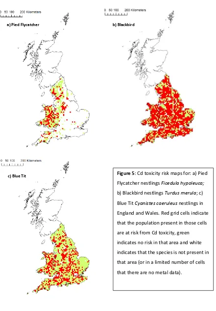 Figure 5: Cd toxicity risk maps for: a) Pied 