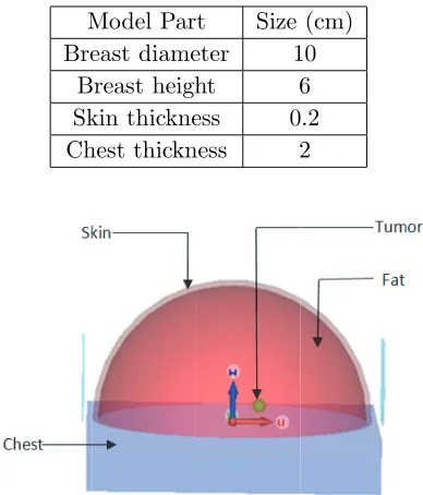 Table 1. Model dimensions.