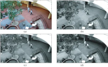 Figure 1. Scenario at frame 1250. (a) Original visual image F. (b) Converted grayscale image I.