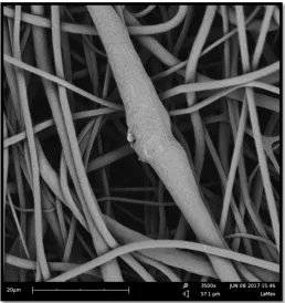 Figure 3. SEM image of a pure PCL membrane. The porous structure is uniform, and the ﬁbres arerandomly oriented, presenting smooth and continuous morphology