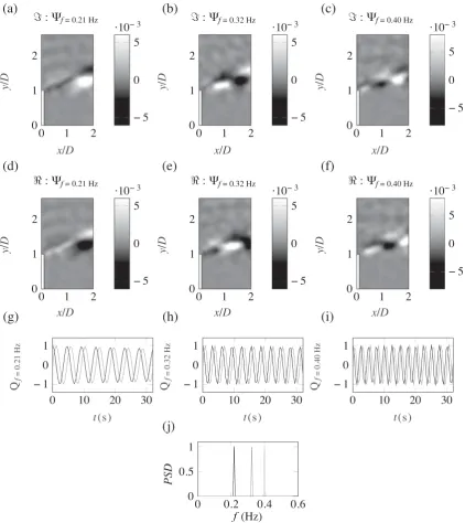Figure 5DMD results of the near vorticity ﬁeld of the shear layer generated by a lateral groyne in a shallow ﬂow