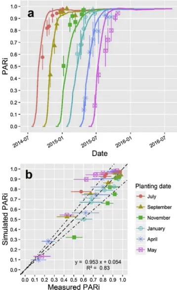 Fig. 6. Fractional photosynthetically active radiation interception (PARi) measured (points plus bars) and simulated (lines) by APSIM-Sugar model after canopy parameters calibration for Brazilian sugarcane varieties in different planting dates under high i