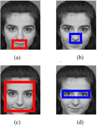 Fig. 3   Segmented Images (a) Mouth part (b) Nose part  (c) Face part  (d) Eye part 