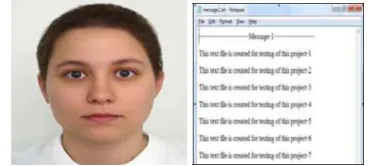 Fig 1. Cover Image (L) and Plain Text Message (R)