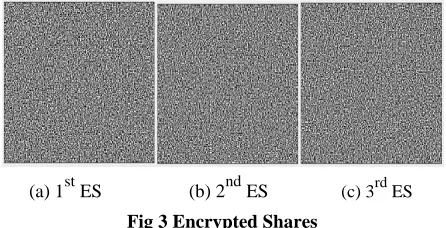 Fig 3 Encrypted Shares 