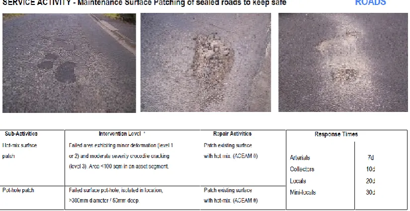 Figure 5 - ACEAM Maintenance Surface Patching Service Level Template 