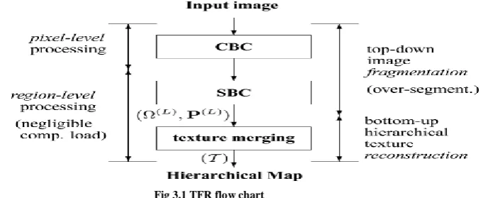 Fig 3.1 TFR flow chart 