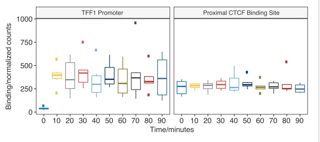 Figure 1. pfChIP-seq signal at the TFF1 promoter and proximal CTCF binding site. Binding of ER at the TFF1 promoter has been the classical focus ofstudy before genome-wide technology and the predicted site for oscillations in ER binding