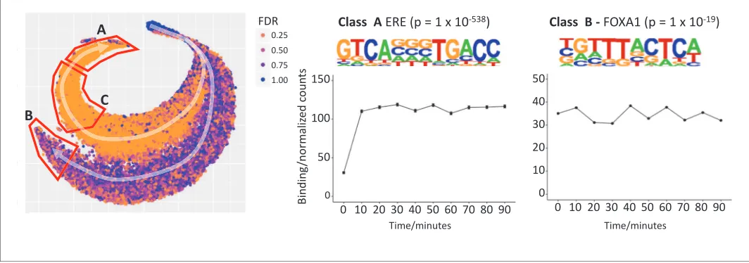 Figure 3. t-SNE plot to explore temporal patterns in ER binding affinity. Two trajectories, A and B, are highlighted with white arrows and starting aaffinity being a function of how conserved the ER binding site is with respect to ideal ERE